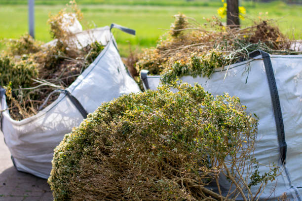 Best Basement Cleanout Services  in Lake Katrine, NY
